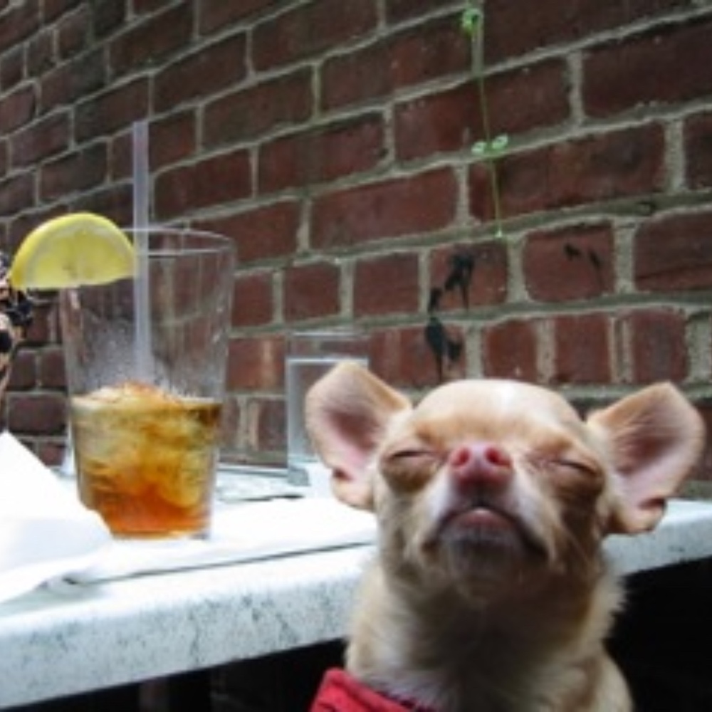 Meet your Posher, Nile